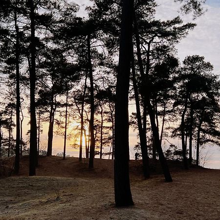 Cosy Chalet Veluwe With A Spacious Garden And Veranda Doornspijk 외부 사진